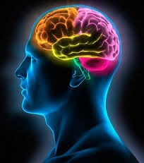 MemoryFuel Brain Health Support